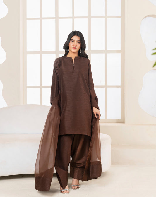 Noor-2 Brown Two-Piece Suit with Organza Dupatta - Niraan.pk